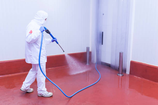 Best Solar Panel Cleaning  in Spanish Lake, MO