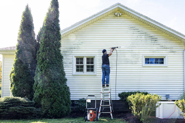 Best Roof Washing  in Spanish Lake, MO